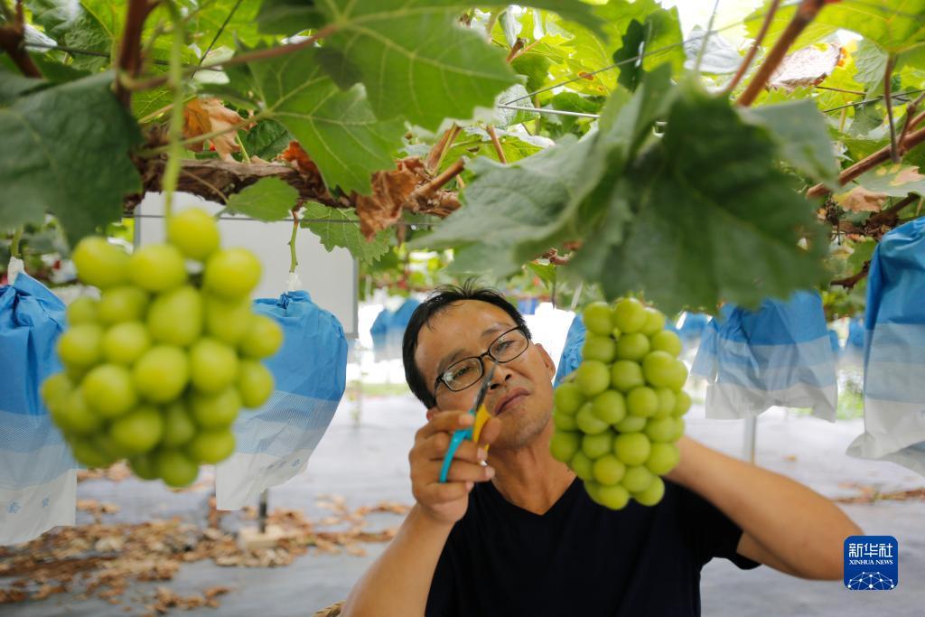 2019白菜彩金优惠网站